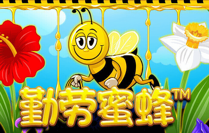 必赢贵宾会3003下载
